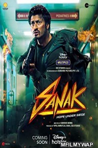 Sanak (2021) Bollywood Hindi Movie