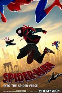 Spider Man Into the Spider Verse (2018) Hollywood English Movie