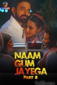 Naam Gum Jayega (2024) Part 2 Atrangii Hindi Web Series