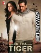 Ek Tha Tiger (2012) Bollywood Hindi Movie