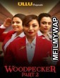 Woodpecker Part 2 (2020) UNRATED Hindi Season 1 Complete Show