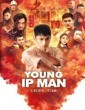Young Ip Man Crisis Time (2020) ORG Hindi Dubbed Movie